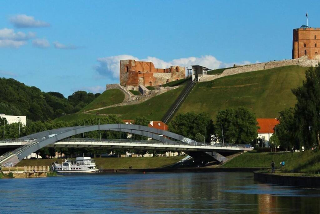 Slucko Central Studio Apartment Near River Vilnius Kültér fotó